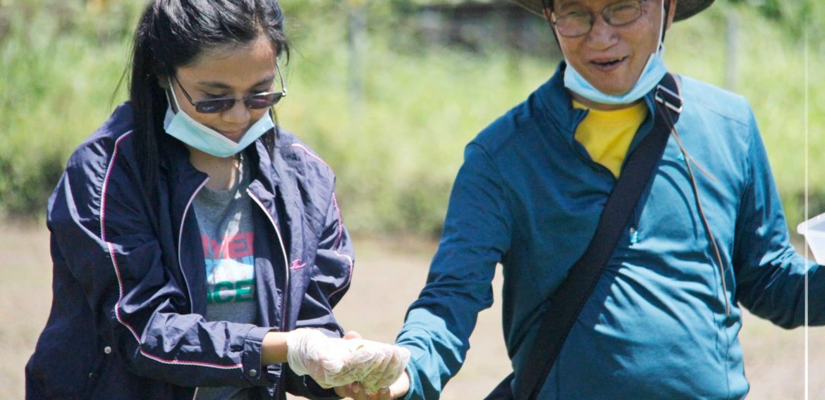 LOOK: Central Mindanao University and the Center for Biodiversity Research and Extension in Mindanao (CEBREM) with the funding partnership of the Agricultural Training Institute (ATI) Region X Training on Propagation Protocols for Edible and Economic Ferns at the Farmers Training Center, CMU, September 24-26, 2020.