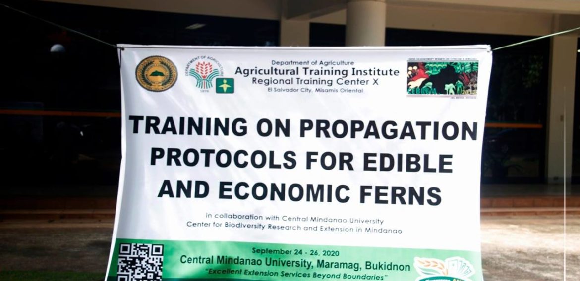LOOK: Center for Biodiversity Research and Extension in Mindanao (CEBREM) with the funding partnership of the Agricultural Training Institute (ATI) Region X Training on Propagation Protocols for Edible and Economic Ferns at the Farmers Training Center, CMU, October 23, 2020