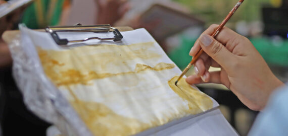  Artizan Org appreciates soil as a new medium
