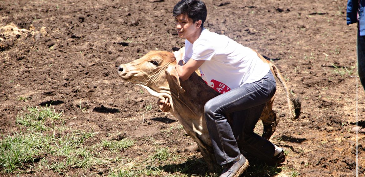 Day One of the 48th Rodeo sa Musuan at the University Catching Corral