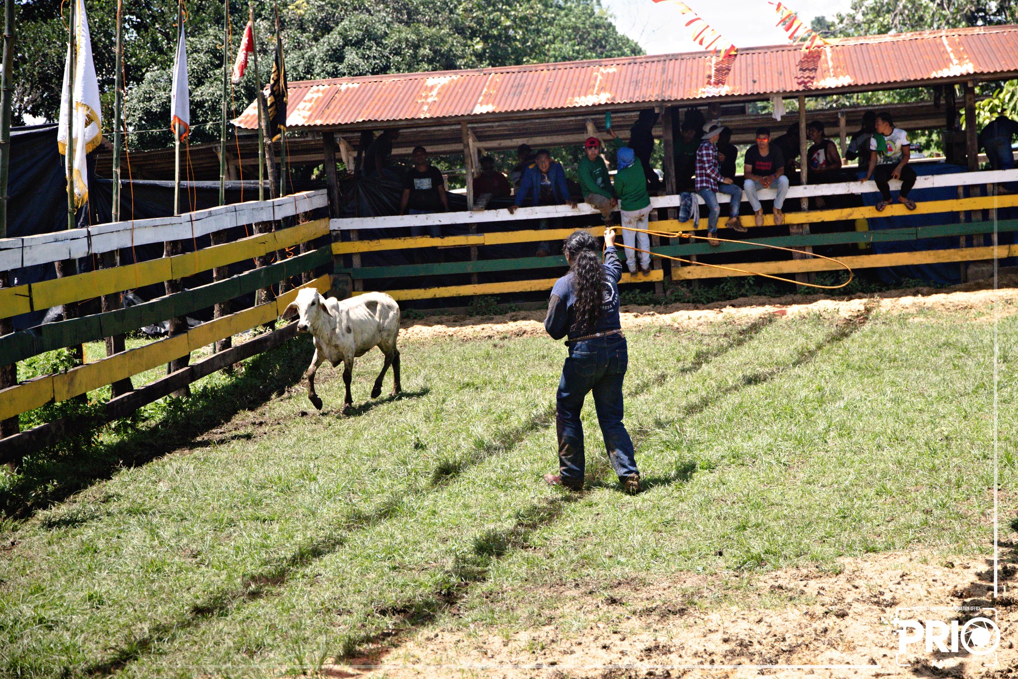 Day One of the 48th Rodeo sa Musuan at the University Catching Corral ...