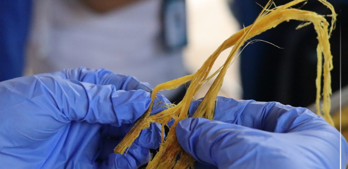 Training on bamboo fiber extraction