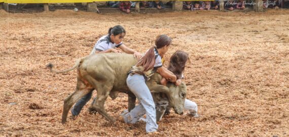 Additional Photos 114th Founding Anniversary RODEO sa Musuan