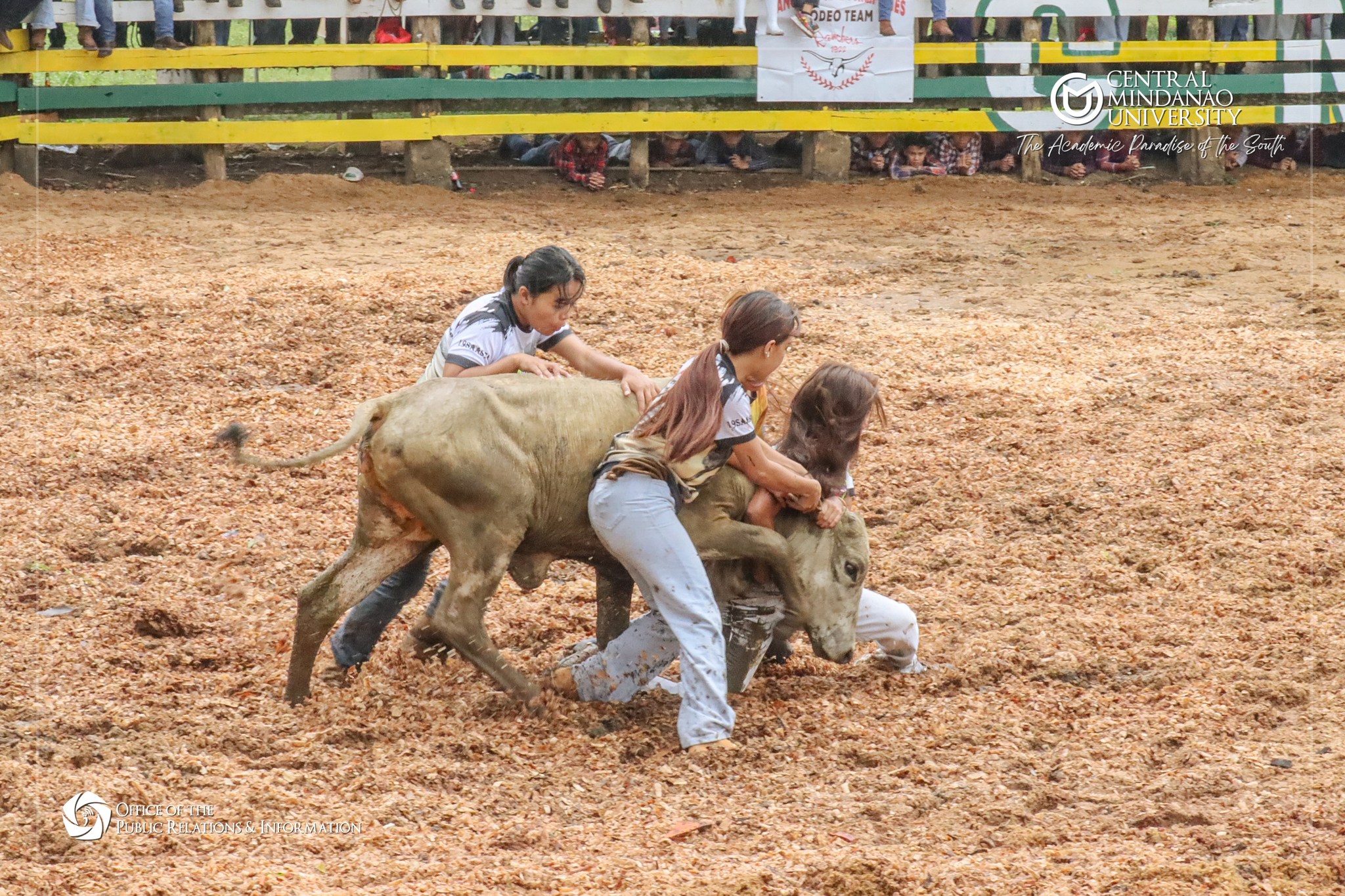 Additional Photos 114th Founding Anniversary RODEO sa Musuan – Central ...