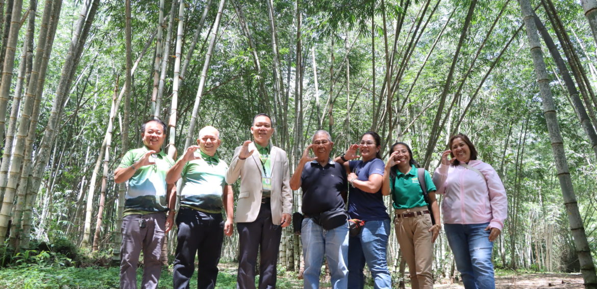 CMU, FFAIC sign MOA for tech assistance on bamboo resource mgt