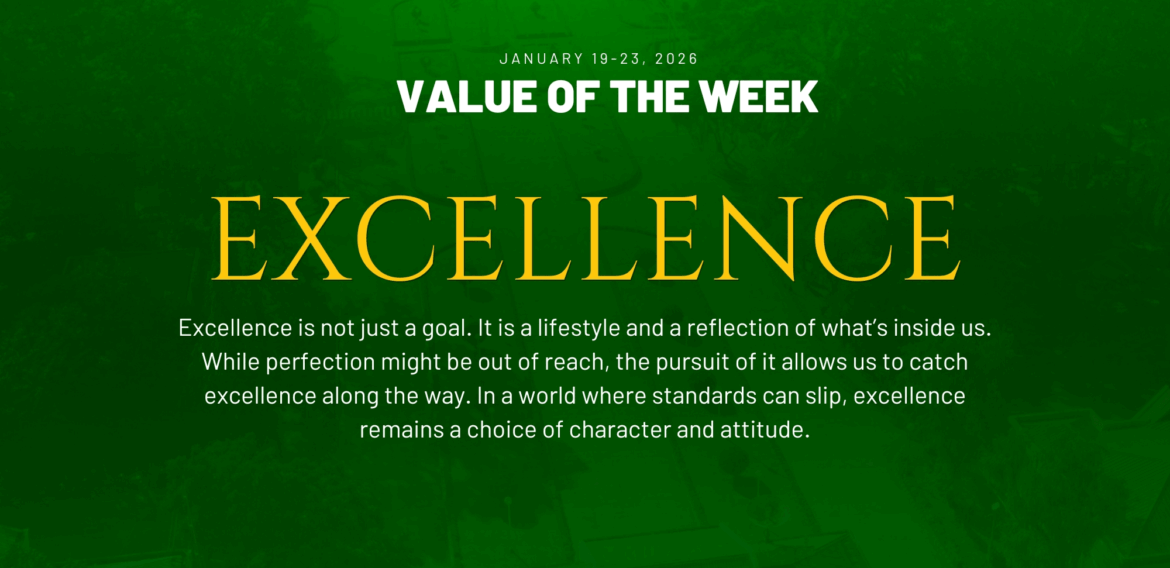 Value of the Week: Excellence