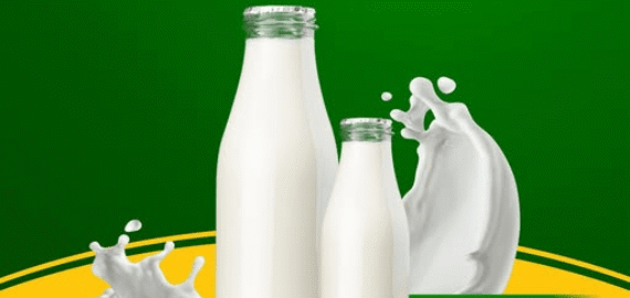 CMU Fresh Milk is Now Available
