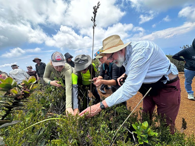 CMU-CEBREM co-leads conservation planning for Nepenthes in Mindanao