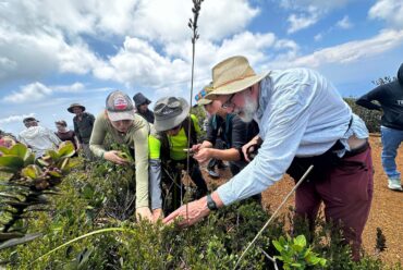 CMU-CEBREM co-leads conservation planning for Nepenthes in Mindanao