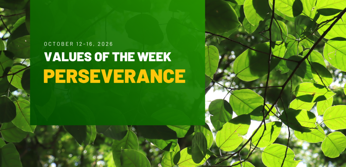 VALUE OF THE WEEK | PERSEVERANCE