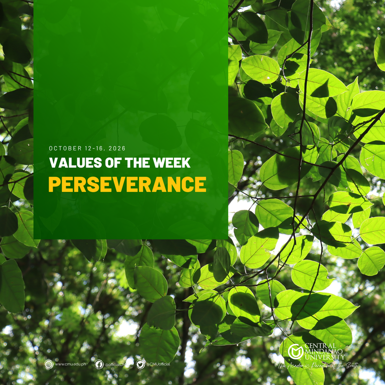 VALUE OF THE WEEK | PERSEVERANCE